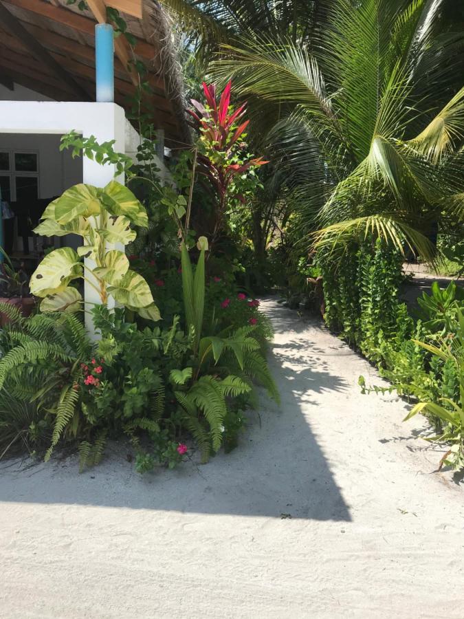 Malas Island View Đảo Đảo Fulidhoo Ngoại thất bức ảnh