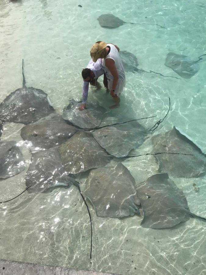 Malas Island View Đảo Đảo Fulidhoo Ngoại thất bức ảnh