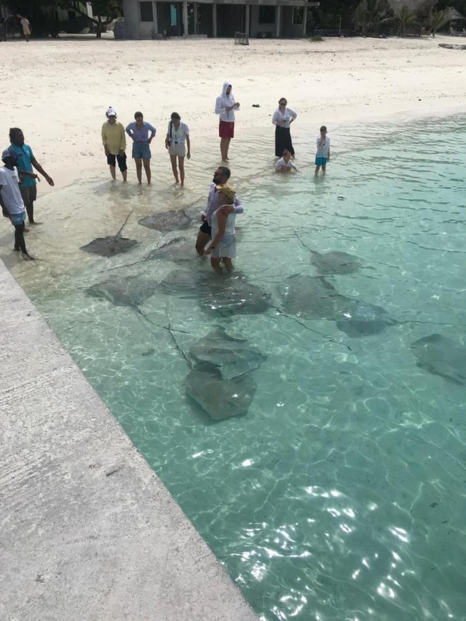 Malas Island View Đảo Đảo Fulidhoo Ngoại thất bức ảnh