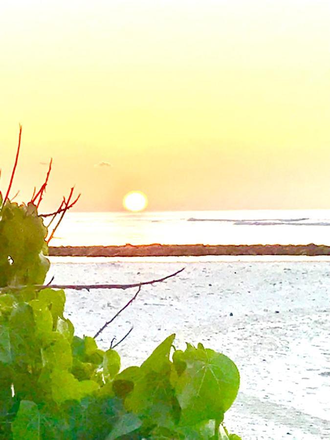 Malas Island View Đảo Đảo Fulidhoo Ngoại thất bức ảnh