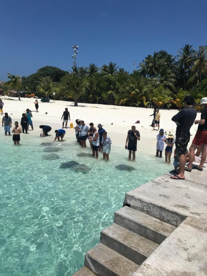 Malas Island View Đảo Đảo Fulidhoo Ngoại thất bức ảnh