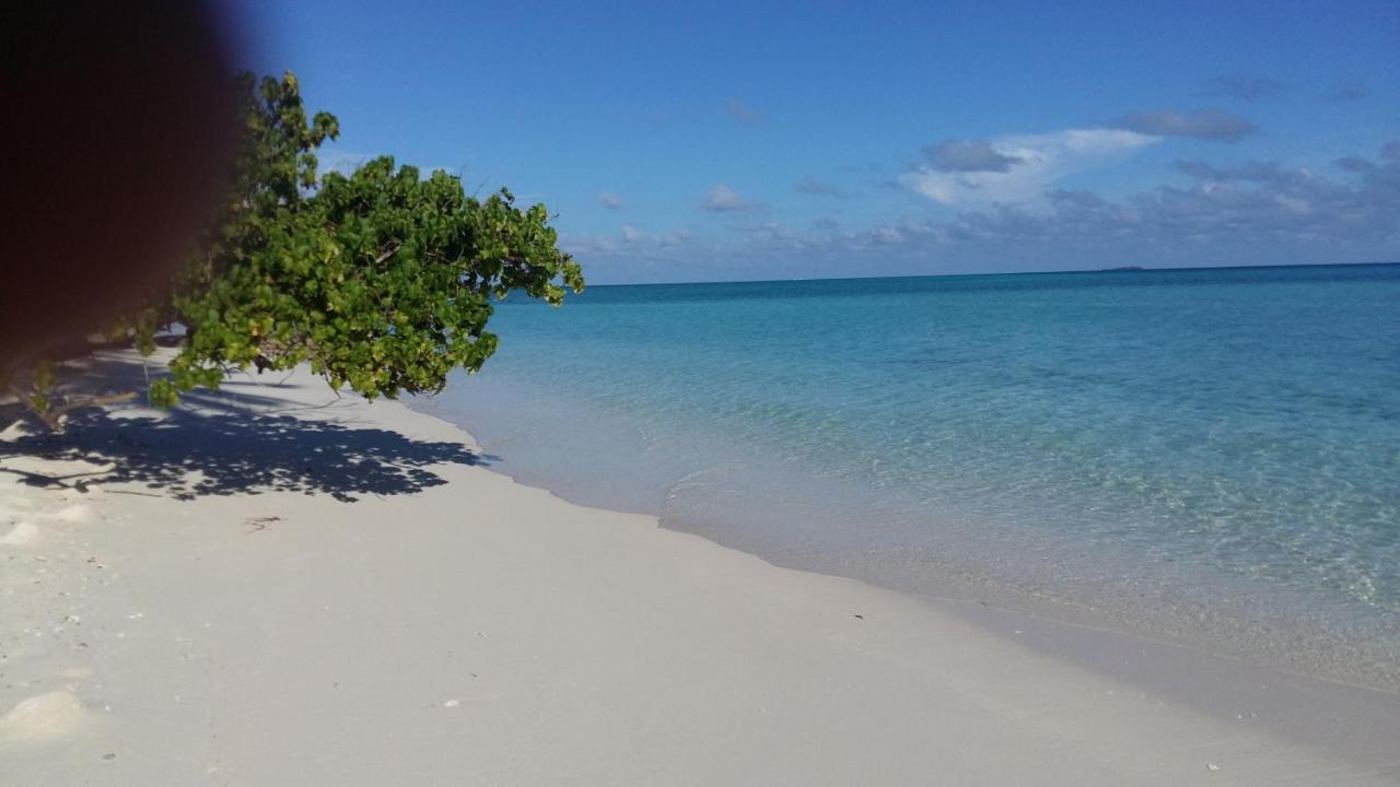 Malas Island View Đảo Đảo Fulidhoo Ngoại thất bức ảnh